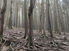 -含鄱口