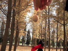 -汉景帝阳陵博物院