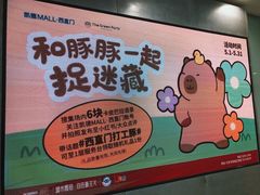 -凯德MALL(西直门店)