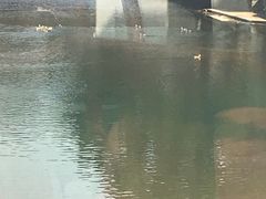 -鹿亭中村