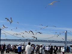 -星海广场