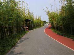 -上海长兴岛郊野公园