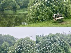 -艾溪湖湿地公园