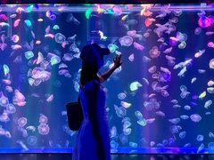 -海合安成都极地海洋公园