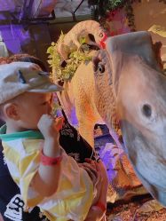 -恐龙探索乐园(磁器口店)