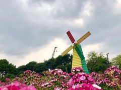 -松山湖梦幻百花洲