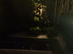 -泰之源足浴会所(玉环店)