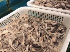 -深海800米海鲜自助(万达广场店)