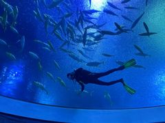 -珠海长隆海洋王国