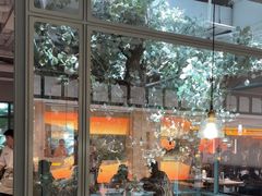-大树餐厅(大悦城店)
