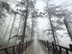 -瓦屋山景区