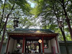 -顺峰山公园
