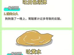 -申普宠物医院(总院)