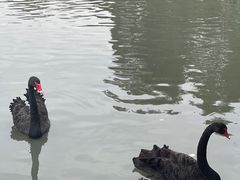 -琅岐红光湖公园