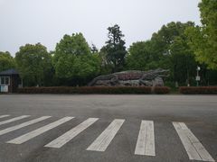 -中国扬子鳄村
