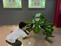 -上海昆虫博物馆