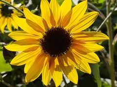 -北京国际鲜花港