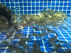 -浙江三立开元名都大酒店