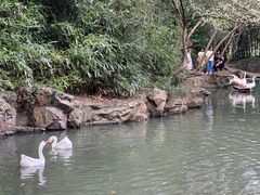 -兰亭风景区
