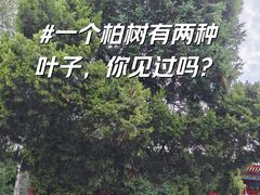 -西安市广仁寺