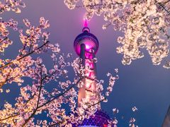 -东方明珠广播电视塔