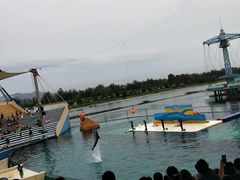 -秦皇岛乐岛海洋王国