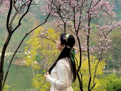 -重庆彩云湖湿地公园