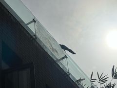 -苏州馨乐庭金鸡湖公寓酒店