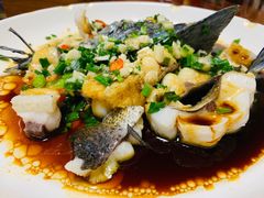 -全乐鱼馆·淳牌有机鱼直营店