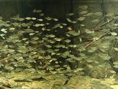 -重庆欢乐海底世界