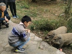 -紫霞湖公园