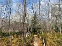 -红星渔村(将军石店)