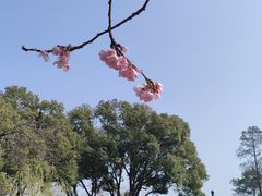 -无锡梅园公园