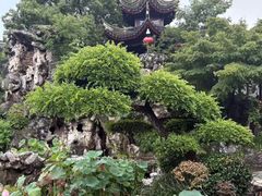 -檀园