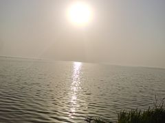 -洪湖湿地生态园
