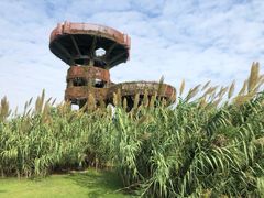-芒洲湿地公园