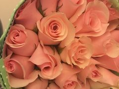 -吴山花鸟城-停车场