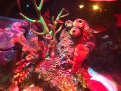 -沈阳海洋探索中心