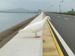 -横山水库