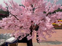 -东南花都花博园