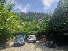 -老张烤羊(王哥庄店)