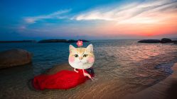 -巴黎新娘婚纱摄影·婚礼策划(嘉定总店)