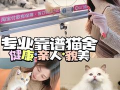 -lincat·猫舍(广州店)