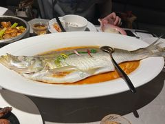 -醉庐·新上海菜(南京西路店)