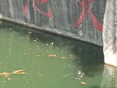 -千岛湖东南湖区