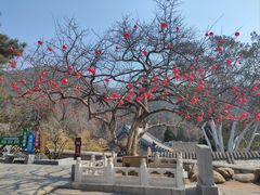 -潭柘寺景区