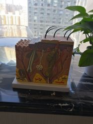 -净妍美肌专业净毛嫩肤连锁机构