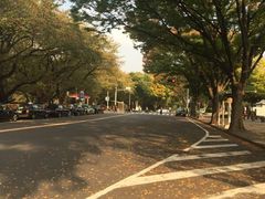 -名古屋城