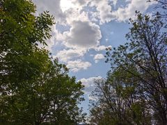 -兰溪小馆(东直门簋街店)