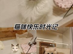 -瑞虹新天地月亮湾